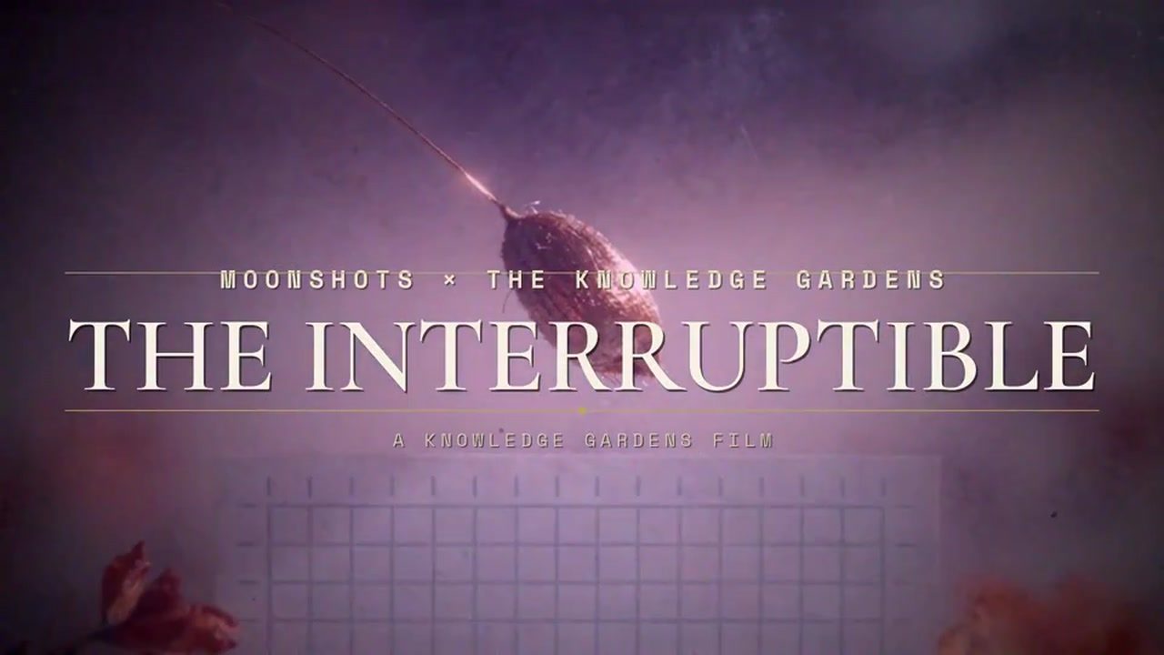 The Interruptible — poster frame